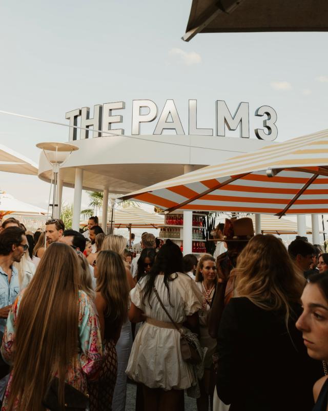 The Palm 3
